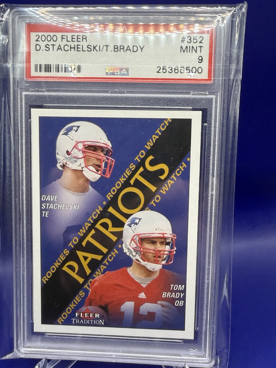 Tom Brady / Dave Stachelski Rookies to Watch